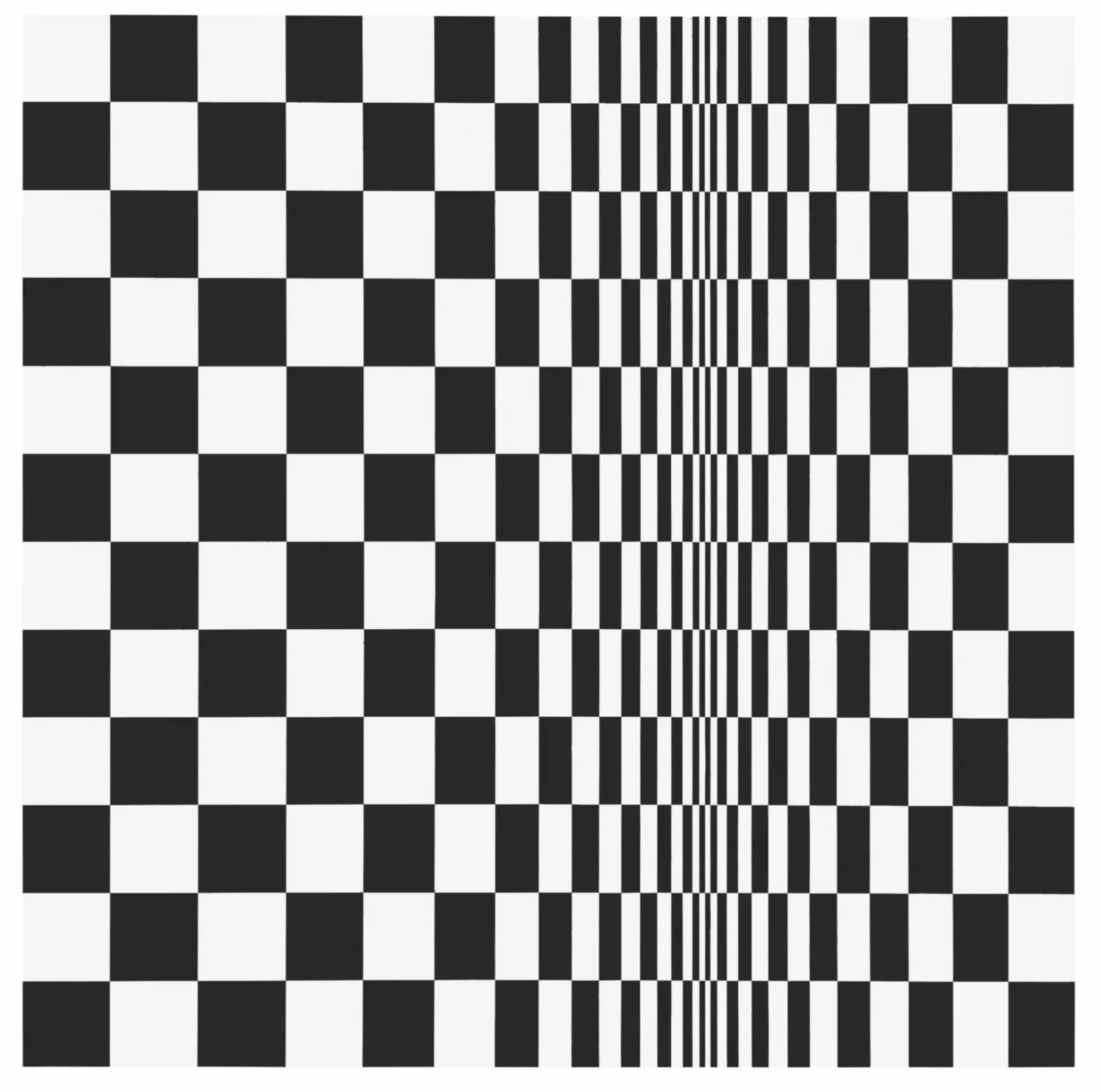 Bridget Riley - Movement in squares