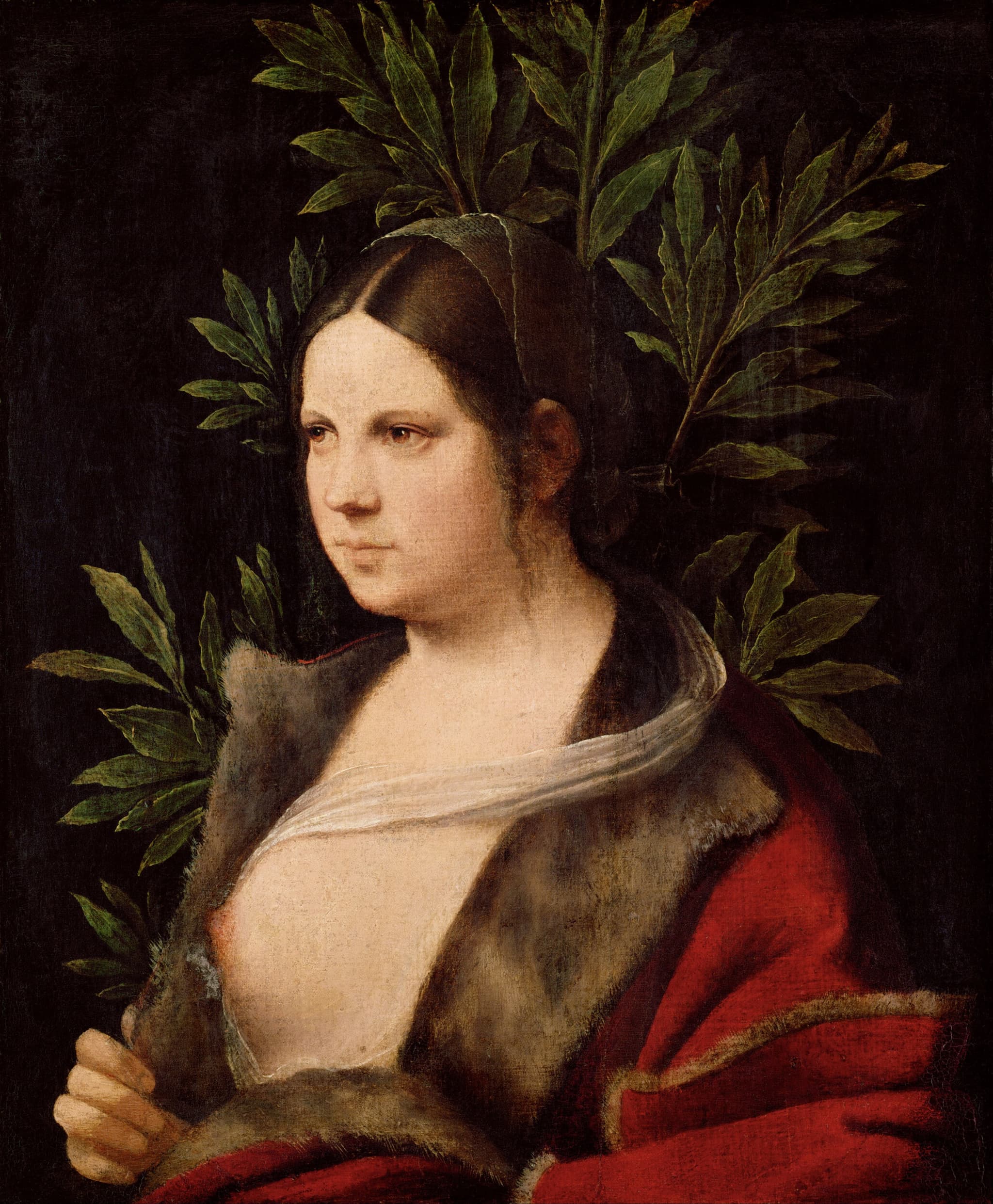  Giorgione - Laura